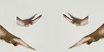 Claire Weetman, Visual Artist