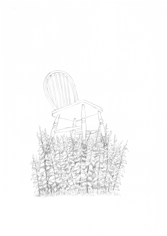 A wooden chair resting on top of a patch of nettles.